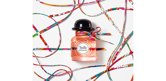 twilly-d-hermes_1