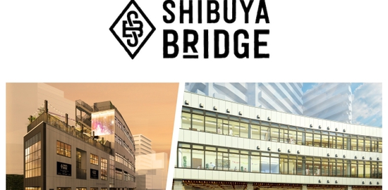 shibuyabridge-outline
