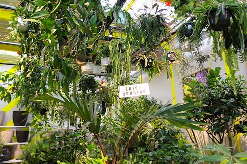 sharegreenminamiaoyama-open_13