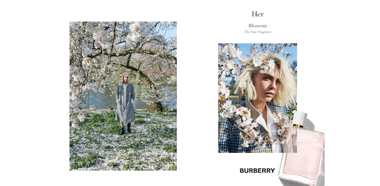 burberryher-blossom