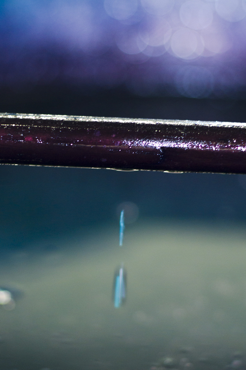 pasteldoccitanie-19fw14