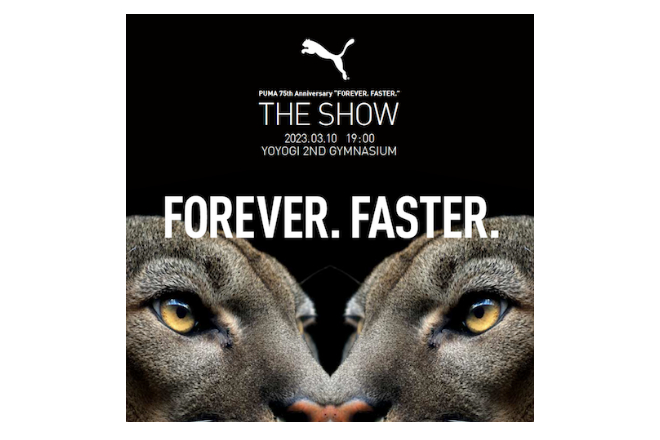 Forever faster clearance puma