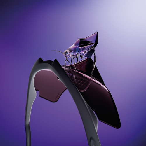 2.OAK23_CATALYST_13.11_Metaphor_1x1