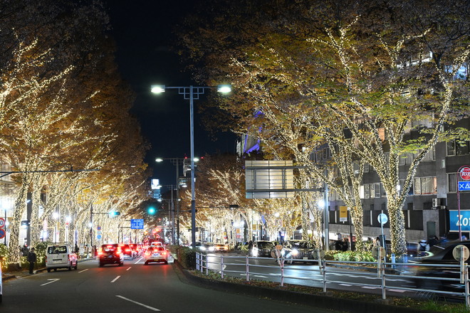 OMOTESANDO HILLS CHRISTMAS 2024 (1)