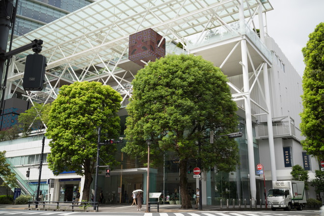 玉川高島屋S.C.南館の様子
