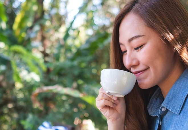 THE BOTANICAL RESORT (3)