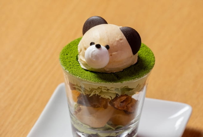 THE BOTANICAL RESORT (4)