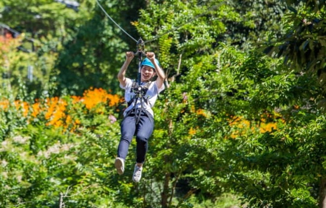 THE BOTANICAL RESORT (6)